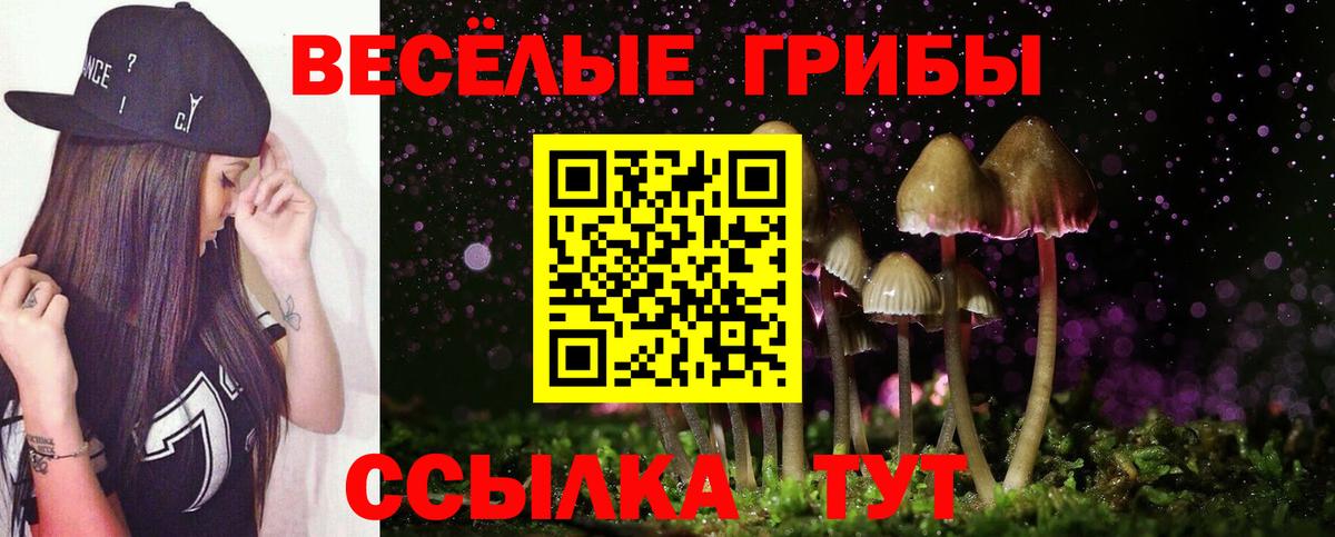 Галлюциногенные грибы прущие грибы  Галлюциногенные грибы Psilocybe  купить  сайты  Усолье-Сибирское  Вход с VPN 